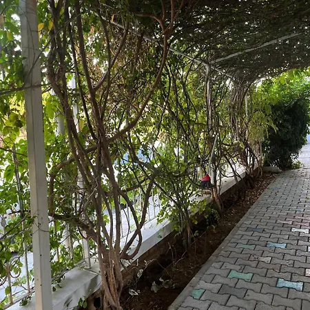 Apartmanhotel Begonvil Garden *
