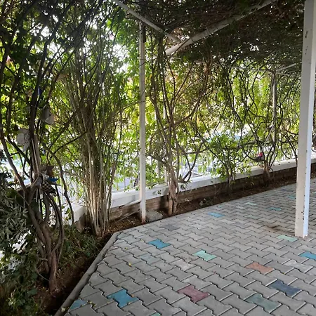 Aparthotel Begonvil Garden *